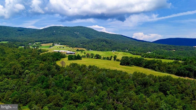 12 Shuler Ln, Stanley, VA 22851 - photo 10