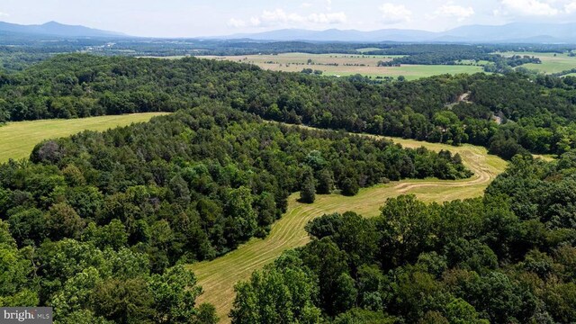 12 Shuler Ln, Stanley, VA 22851 - photo 12