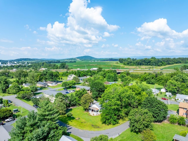 263 Second Ave, Mount Jackson, VA 22842 - photo 29