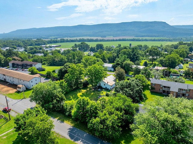 263 Second Ave, Mount Jackson, VA 22842 - photo 33