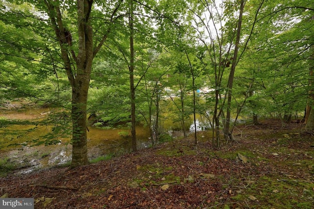 Jefferson Dr, Palmyra, VA 22963