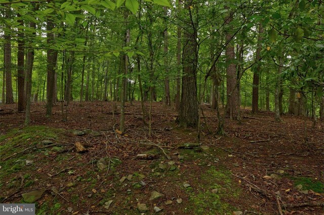 Jefferson Dr, Palmyra, VA 22963