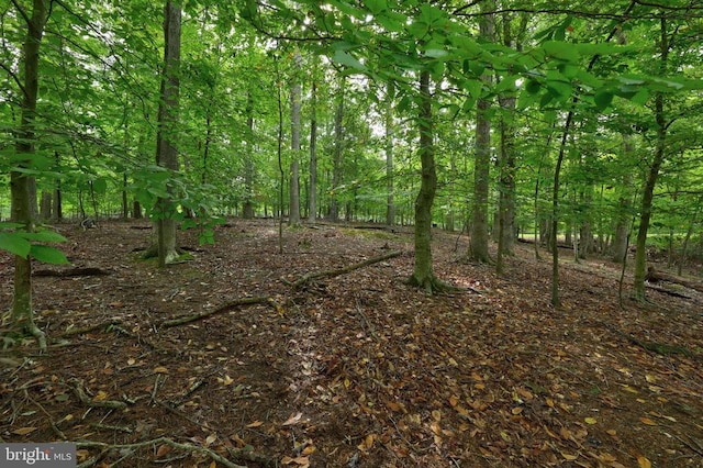 Jefferson Dr, Palmyra, VA 22963