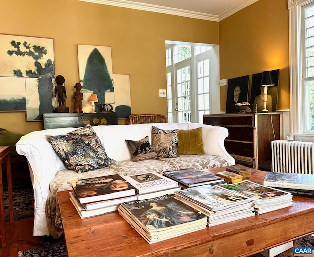 living area featuring radiator and ornamental molding