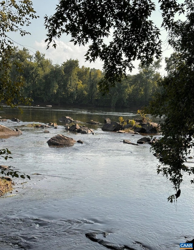 view of water feature with a wooded view
