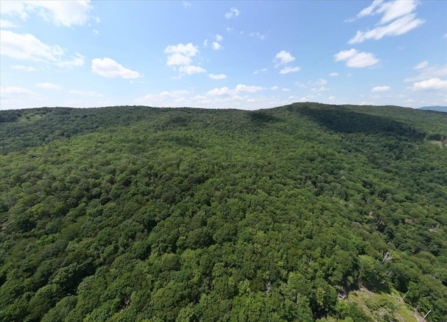 TBD Halterman Hollow Ln, Monterey, VA 24465