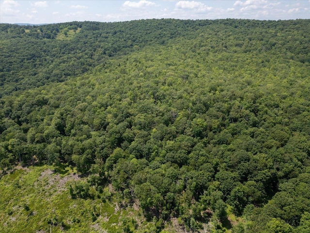 TBD Halterman Hollow Ln, Monterey, VA 24465