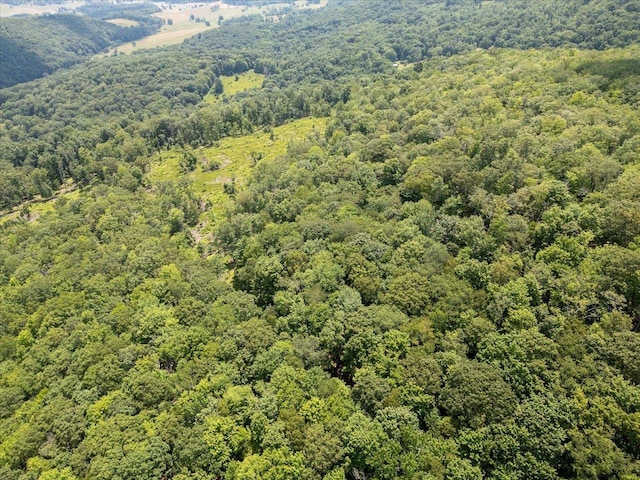 TBD Halterman Hollow Ln, Monterey, VA 24465