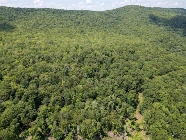 TBD Halterman Hollow Ln, Monterey, VA 24465