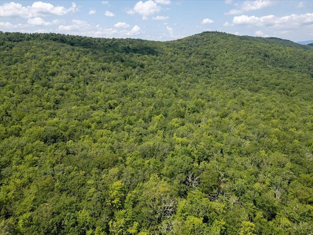 TBD Halterman Hollow Ln, Monterey, VA 24465