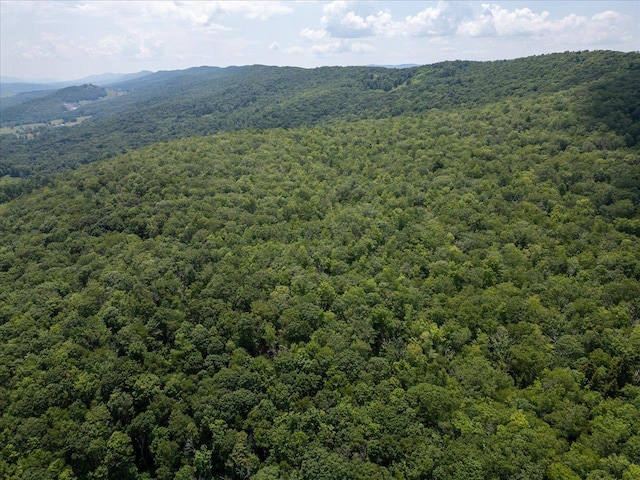 TBD Halterman Hollow Ln, Monterey, VA 24465