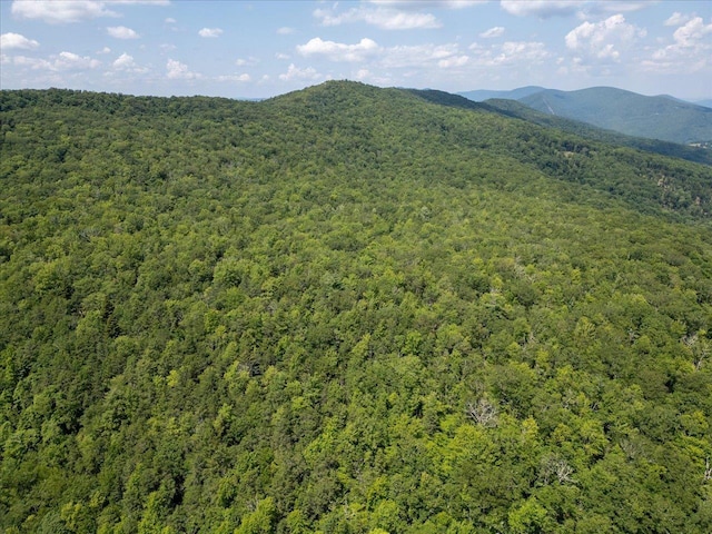 TBD Halterman Hollow Ln, Monterey, VA 24465