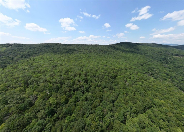 TBD Halterman Hollow Ln, Monterey, VA 24465