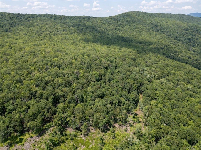 TBD Halterman Hollow Ln, Monterey, VA 24465
