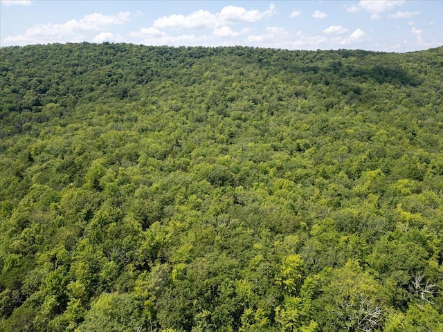 TBD Halterman Hollow Ln, Monterey, VA 24465
