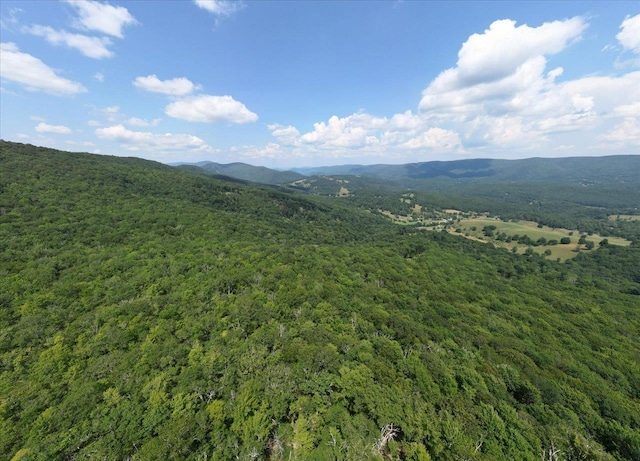 TBD Halterman Hollow Ln, Monterey, VA 24465