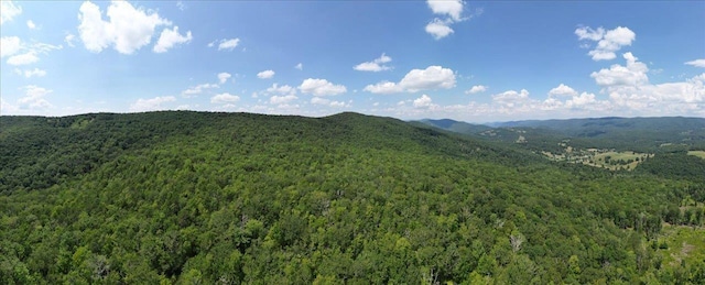 TBD Halterman Hollow Ln, Monterey, VA 24465