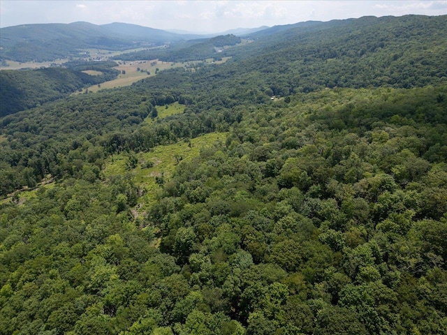 TBD Halterman Hollow Ln, Monterey, VA 24465