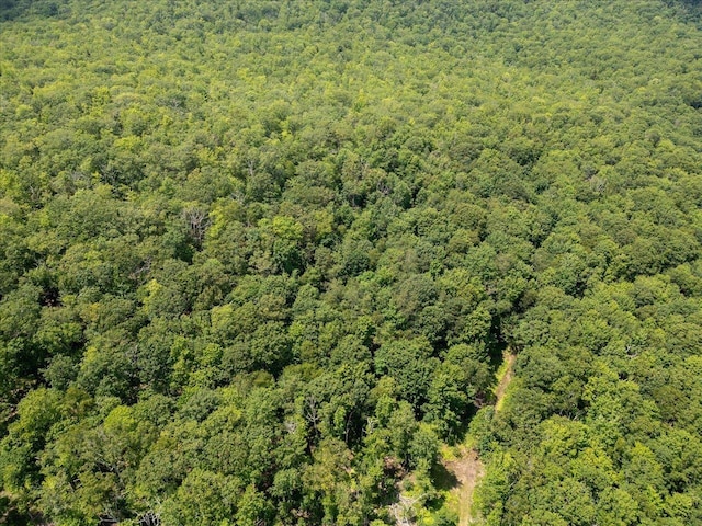 TBD Halterman Hollow Ln, Monterey, VA 24465