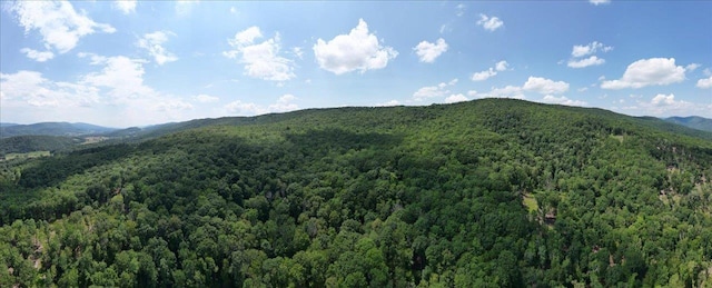 TBD Halterman Hollow Ln, Monterey, VA 24465