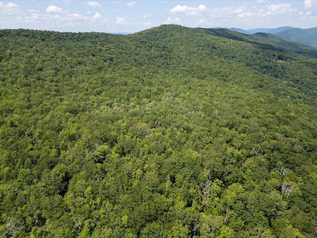 TBD Halterman Hollow Ln, Monterey, VA 24465