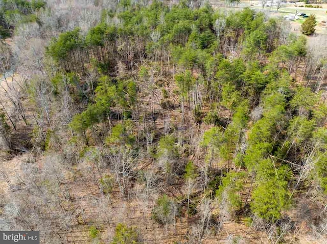 0 New Bridge Rd, Mineral, VA 23117