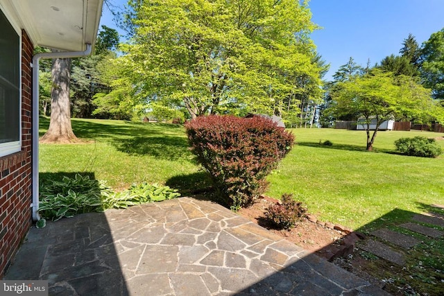view of yard featuring a patio
