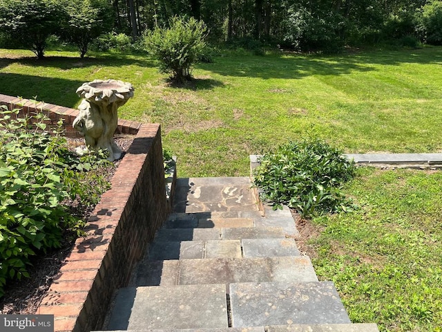  - view of grassy yard