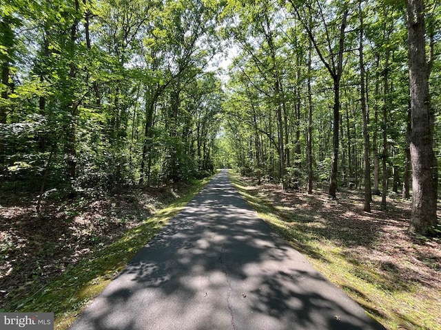 - view of road featuring a view of trees