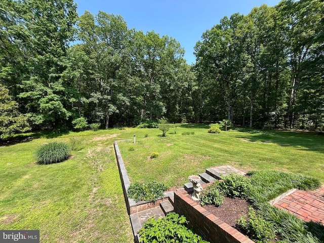  - view of green lawn