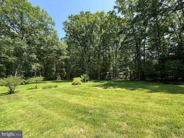  - view of green lawn