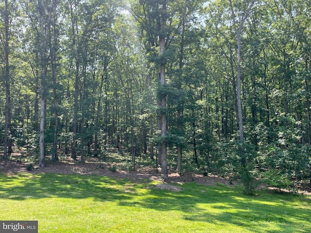  - view of grassy yard