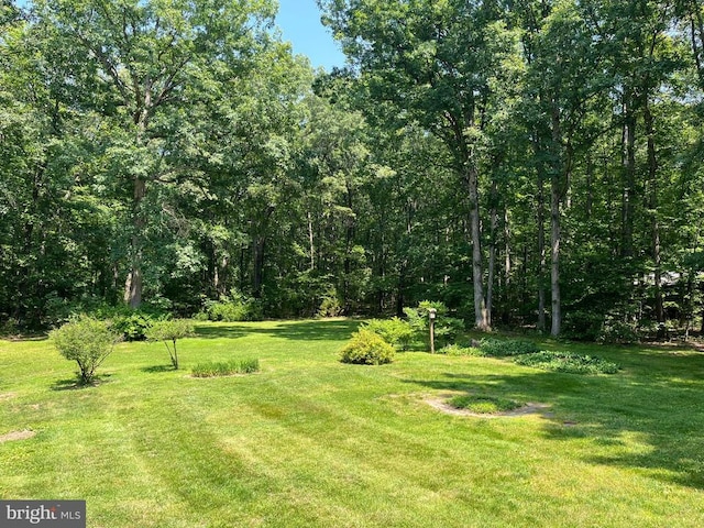  - view of grassy yard
