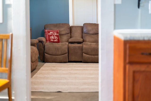143 Pkin Ln, Raphine, VA 24472 - view of living area
