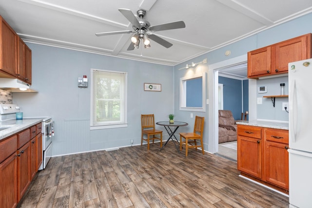 143 Pkin Ln, Raphine, VA 24472 - kitchen with white appliances, ceiling fan, dark wood-style flooring, under cabinet range hood, and brown cabinets