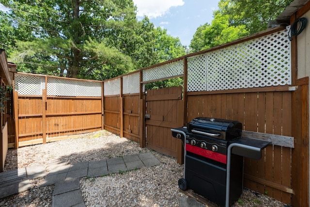 143 Pkin Ln, Raphine, VA 24472 - view of patio featuring a gate and a grill