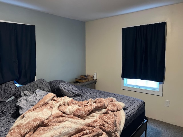 3090 Deerfield Valley Rd, Deerfield, VA 24432 - view of carpeted bedroom
