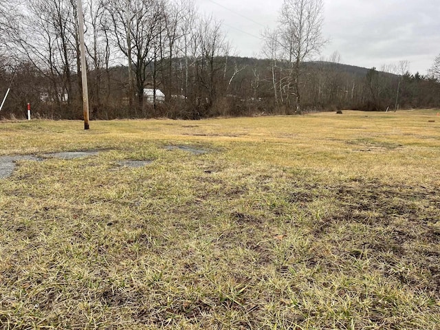 3090 Deerfield Valley Rd, Deerfield, VA 24432 - view of yard with a forest view