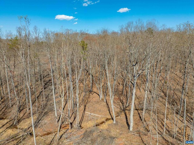 159 Warren Ferry Rd, Scottsville, VA 24590 - photo 53