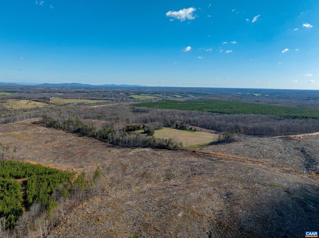 159 Warren Ferry Rd, Scottsville, VA 24590 - photo 36