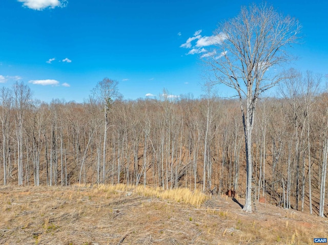 159 Warren Ferry Rd, Scottsville, VA 24590 - photo 63