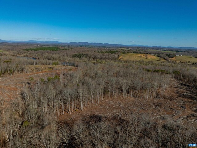 159 Warren Ferry Rd, Scottsville, VA 24590 - photo 33