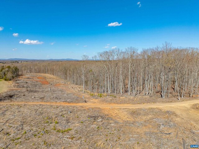 159 Warren Ferry Rd, Scottsville, VA 24590 - photo 52