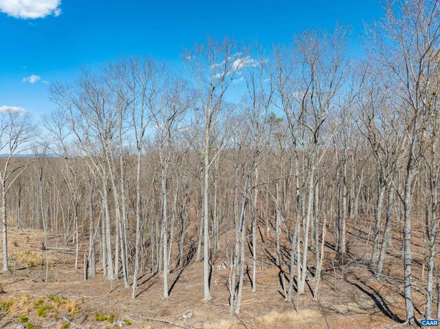 159 Warren Ferry Rd, Scottsville, VA 24590 - photo 62