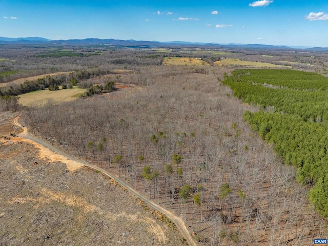 159 Warren Ferry Rd, Scottsville, VA 24590 - photo 26