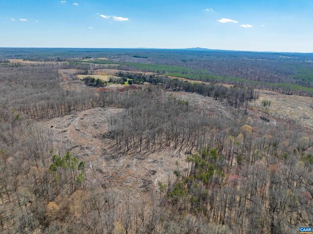 159 Warren Ferry Rd, Scottsville, VA 24590 - photo 49