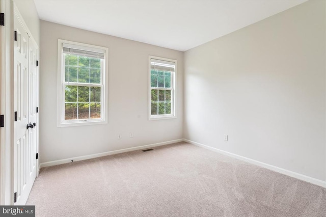 1118 Virginia Ave, Culpeper, VA 22701 - photo 12