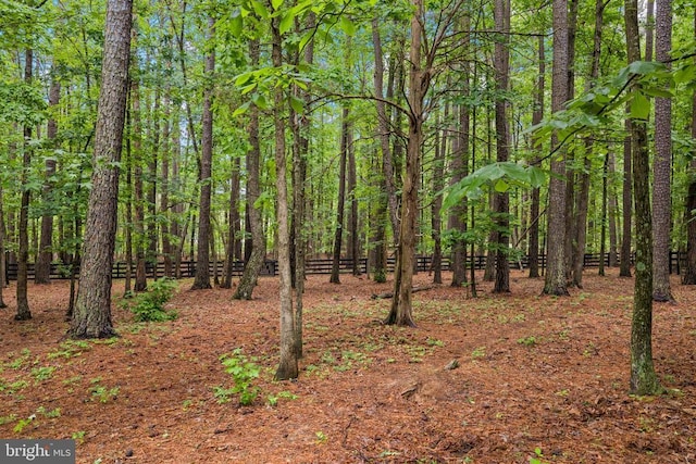 view of woods