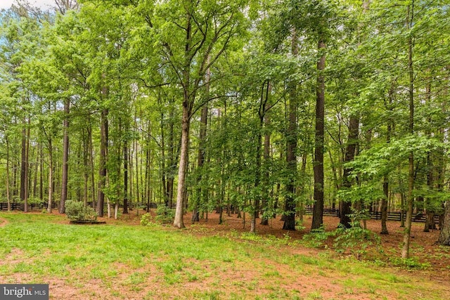 view of yard featuring a forest view
