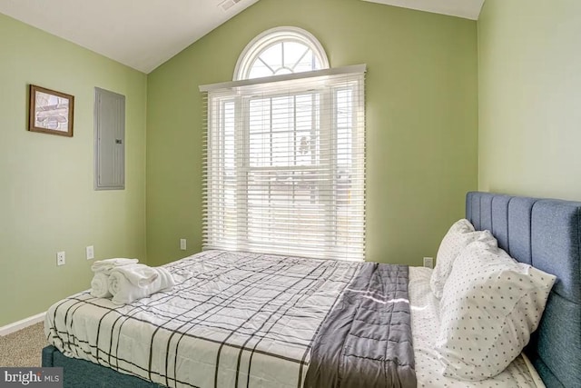 4 Brumback Ave, Luray, VA 22835 - bedroom featuring electric panel, lofted ceiling, and carpet flooring